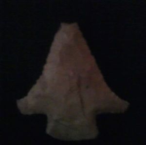 Meet your Posher, Bryan